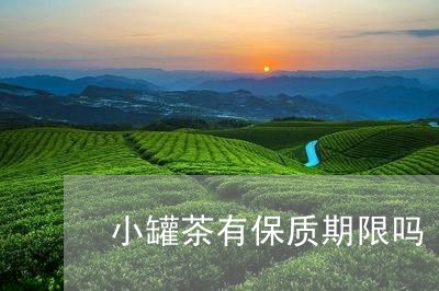 小罐茶有保质期限吗/2023031928351