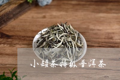 小罐茶特级普洱茶/2023031868183