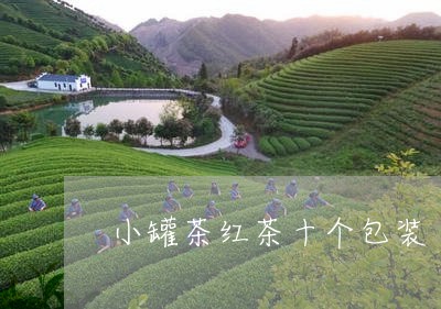 小罐茶红茶十个包装/2023041536041