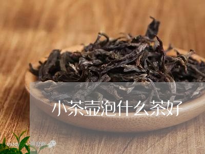 小茶壶泡什么茶好/2023032315950