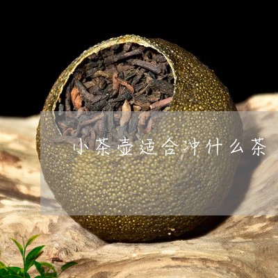 小茶壶适合冲什么茶/2023041582635