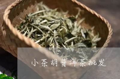 小茶胡普洱茶批发/2023031602814