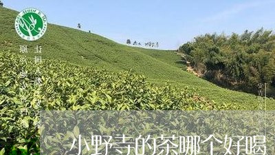 小野寺的茶哪个好喝/2023041559382