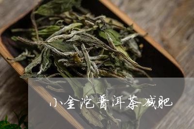 小金沱普洱茶减肥/2023041366047