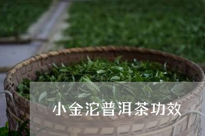 小金沱普洱茶功效/2023040955036