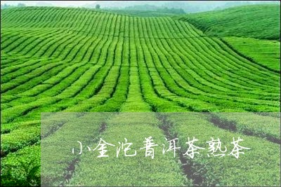 小金沱普洱茶熟茶/2023031669605