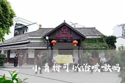 小青柑可以治咳嗽吗/2023032271603