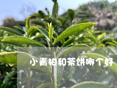 小青柑和茶饼哪个好/2023032230504