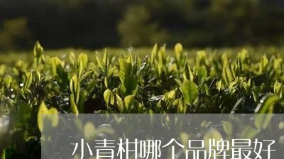 小青柑哪个品牌最好/2023032293926