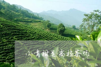 小青柑是高档茶吗/2023032648472