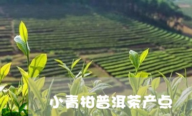 小青柑普洱茶产点/2023033092826