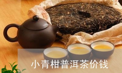 小青柑普洱茶价钱/2023031689382