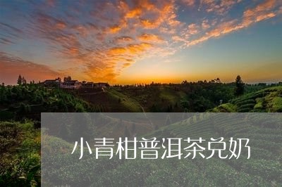 小青柑普洱茶兑奶/2023041395939