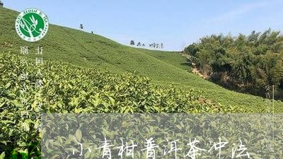 小青柑普洱茶冲法/2023033137251