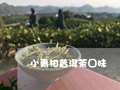 小青柑普洱茶囗味/2023031805947