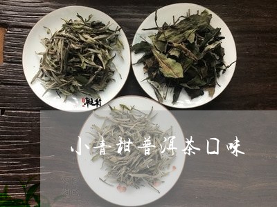 小青柑普洱茶囗味/2023041357393