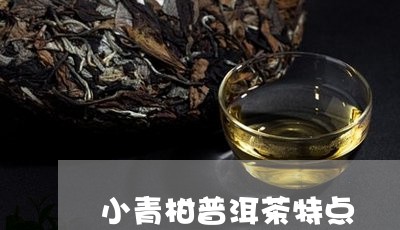 小青柑普洱茶特点/2023041222836