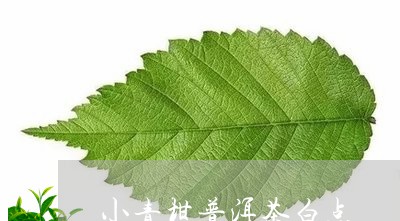 小青柑普洱茶白点/2023031817168