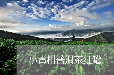 小青柑普洱茶红罐/2023033058481