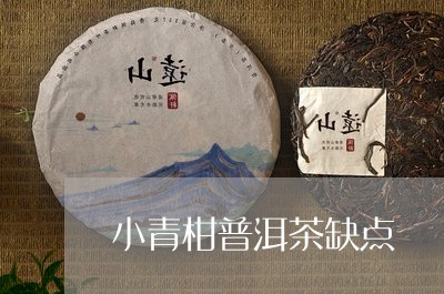 小青柑普洱茶缺点/2023041305836