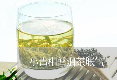 小青柑普洱茶胀气/2023041356172