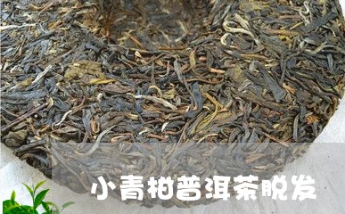 小青柑普洱茶脱发/2023031715947