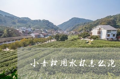 小青柑用水杯怎么泡/2023032130583