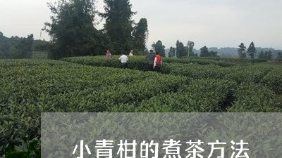 小青柑的煮茶方法/2023032666269