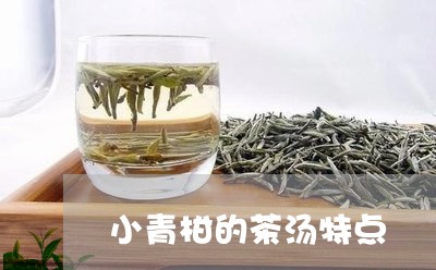 小青柑的茶汤特点/2023032627178