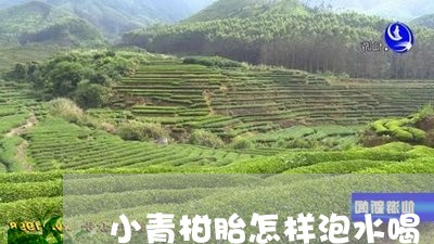 小青柑胎怎样泡水喝/2023032217483