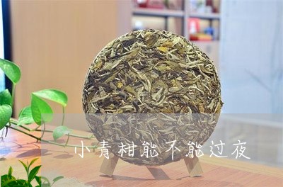 小青柑能不能过夜/2023032668350