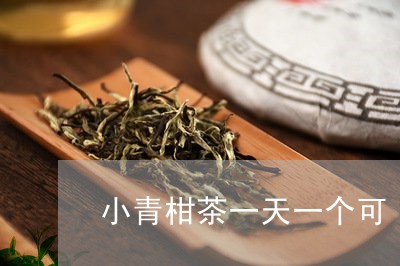 小青柑茶一天一个可/2023032209415