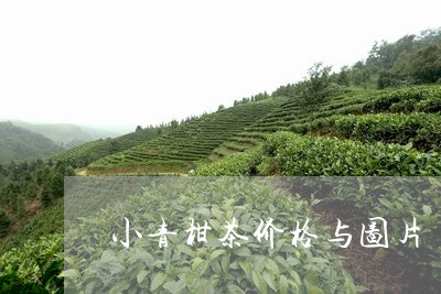 小青柑茶价格与图片/2023032145258