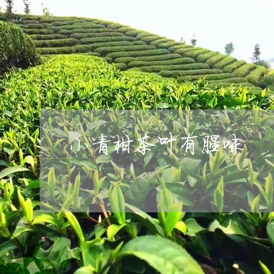 小青柑茶叶有腥味/2023032548573