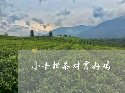 小青柑茶对胃好吗/2023032634837