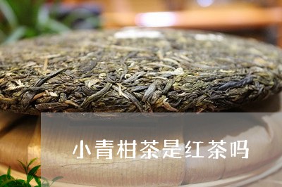 小青柑茶是红茶吗/2023032637384