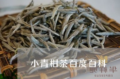 小青柑茶百度百科/2023032660792