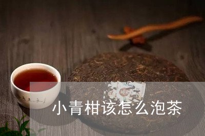 小青柑该怎么泡茶/2023032618281