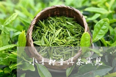 小青柠普洱茶减肥/2023040166503