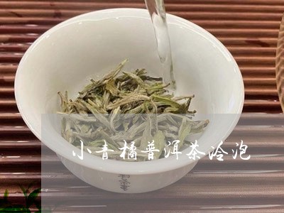 小青橘普洱茶冷泡/2023033189261