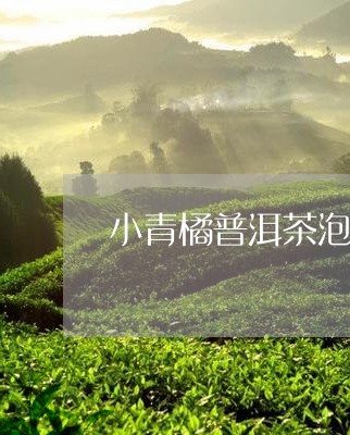 小青橘普洱茶泡法/2023033013836