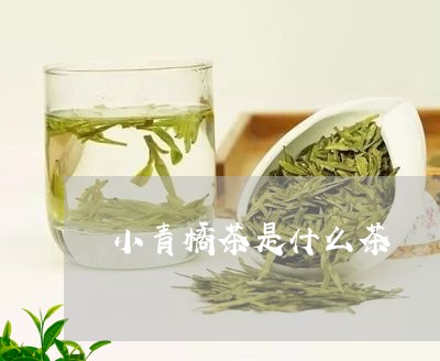 小青橘茶是什么茶/2023032396368