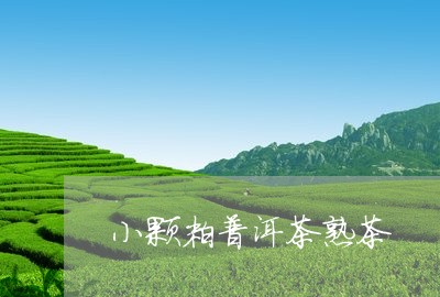 小颗粒普洱茶熟茶/2023041171504