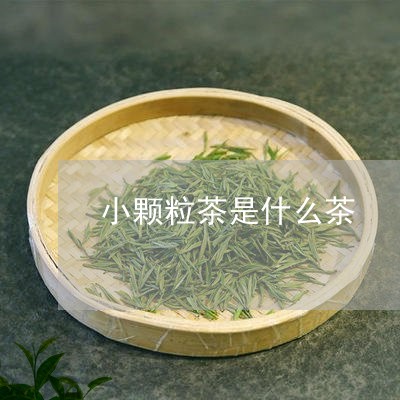 小颗粒茶是什么茶/2023032302825