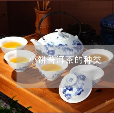 小饼普洱茶的种类/2023031693035