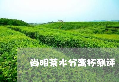 尚明茶水分离杯测评/2023041595171