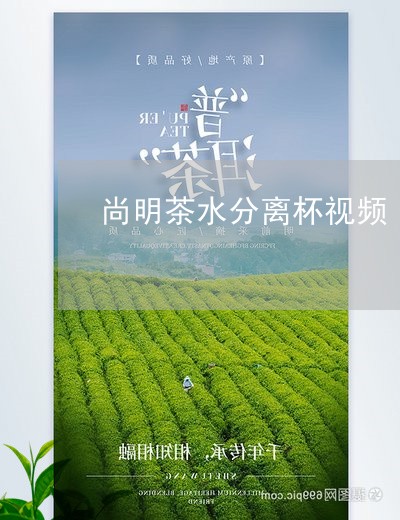 尚明茶水分离杯视频/2023041524281