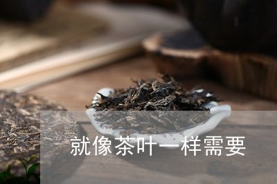 就像茶叶一样需要/2023032799583