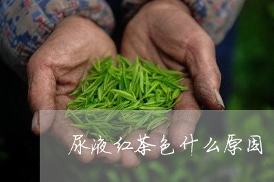 尿液红茶色什么原因/2023041568805