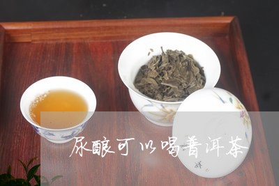 尿酸可以喝普洱茶/2023040960496